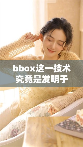 bbox这一技术究竟是发明于哪个国家的呢 让我们一起来探究一下这个问题