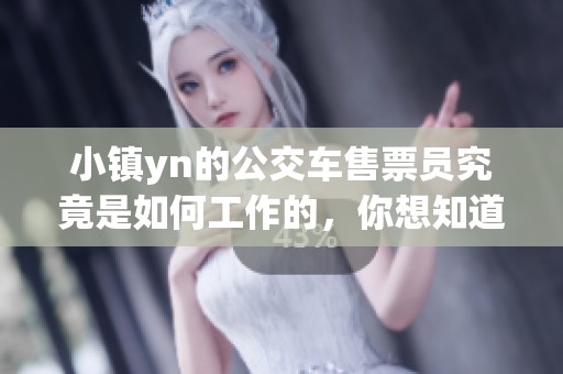 小镇yn的公交车售票员究竟是如何工作的，你想知道吗