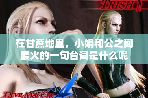 在甘蔗地里，小娟和公之间最火的一句台词是什么呢