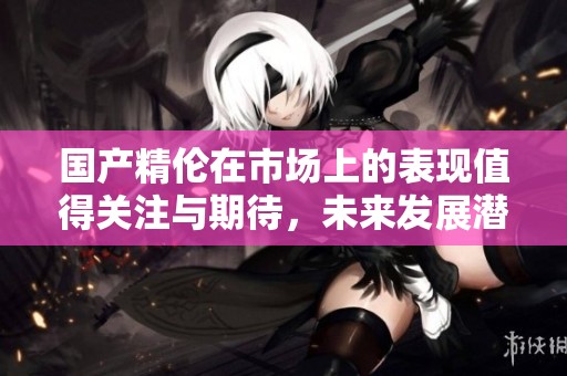 国产精伦在市场上的表现值得关注与期待，未来发展潜力无限引发热议