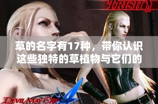 草的名字有17种，带你认识这些独特的草植物与它们的魅力