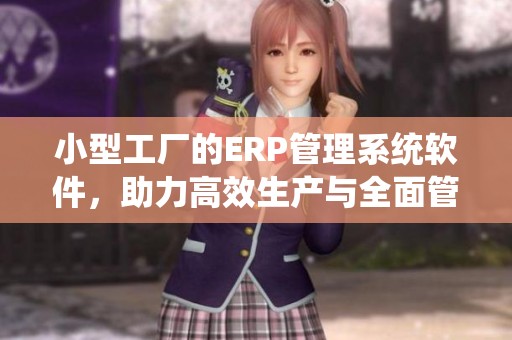 小型工厂的ERP管理系统软件，助力高效生产与全面管理的完美结合