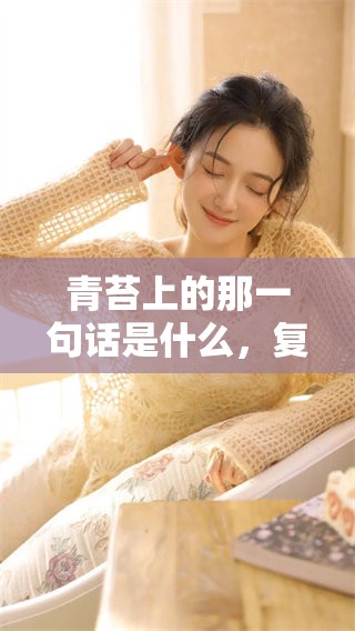 青苔上的那一句话是什么，复照是否会让我们回忆起呢