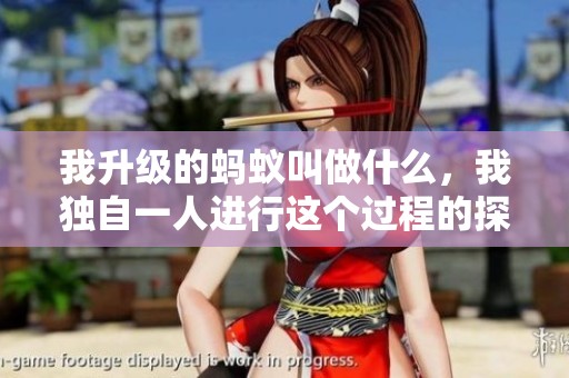 我升级的蚂蚁叫做什么，我独自一人进行这个过程的探索与思考