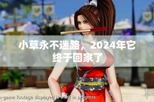 小草永不迷路，2024年它终于回家了
