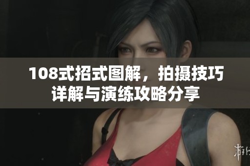 108式招式图解，拍摄技巧详解与演练攻略分享