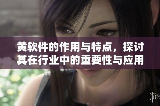 黄软件的作用与特点，探讨其在行业中的重要性与应用潜力