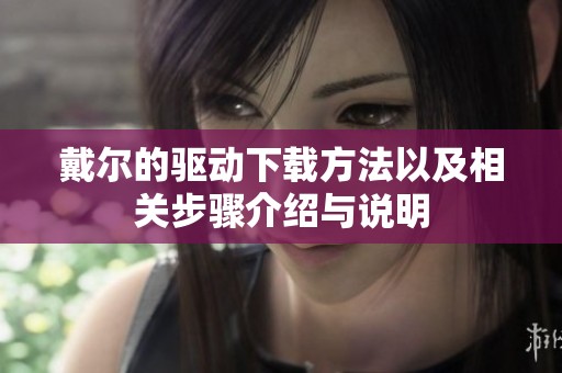 戴尔的驱动下载方法以及相关步骤介绍与说明