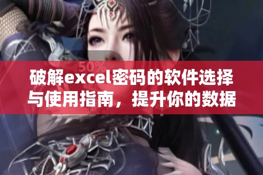 破解excel密码的软件选择与使用指南，提升你的数据安全保护水平