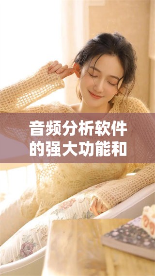 音频分析软件的强大功能和应用前景你了解了吗