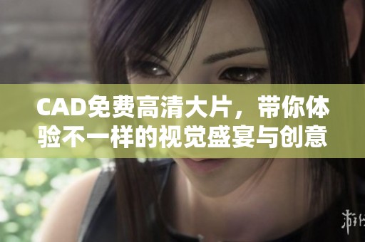 CAD免费高清大片，带你体验不一样的视觉盛宴与创意之旅