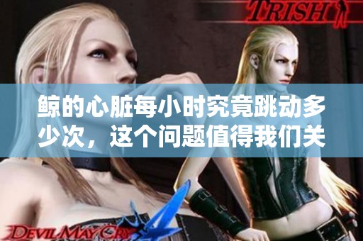 鲸的心脏每小时究竟跳动多少次，这个问题值得我们关注与探讨