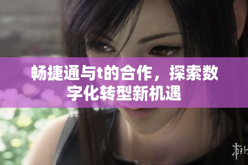 畅捷通与t的合作，探索数字化转型新机遇