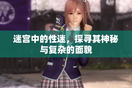 迷宫中的性迷，探寻其神秘与复杂的面貌