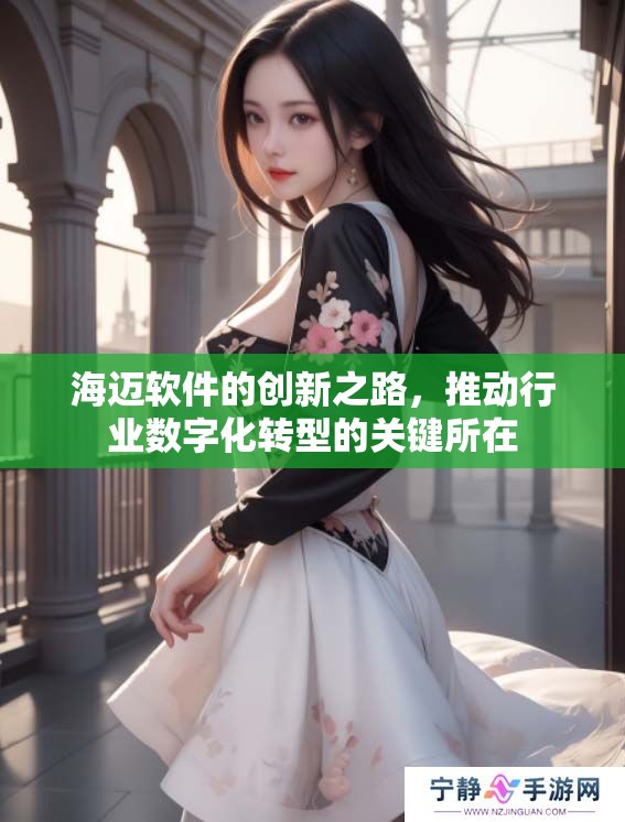 海迈软件的创新之路，推动行业数字化转型的关键所在