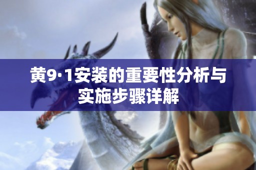黄9·1安装的重要性分析与实施步骤详解