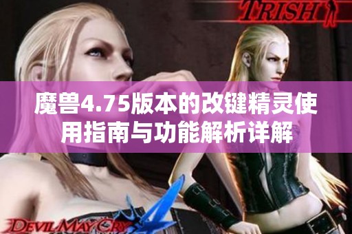 魔兽4.75版本的改键精灵使用指南与功能解析详解