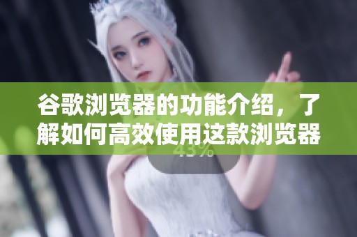 谷歌浏览器的功能介绍，了解如何高效使用这款浏览器的技巧与特点