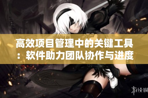 高效项目管理中的关键工具：软件助力团队协作与进度追踪