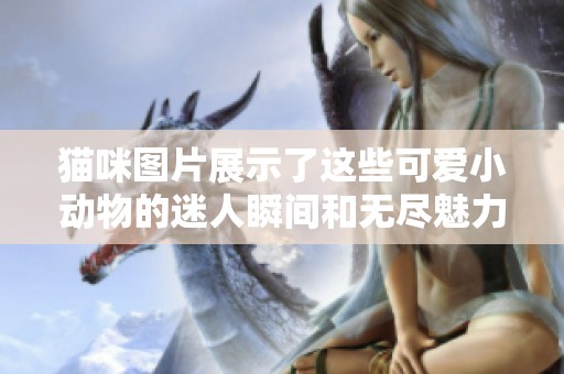猫咪图片展示了这些可爱小动物的迷人瞬间和无尽魅力