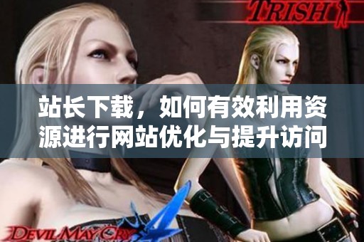 站长下载，如何有效利用资源进行网站优化与提升访问量探讨