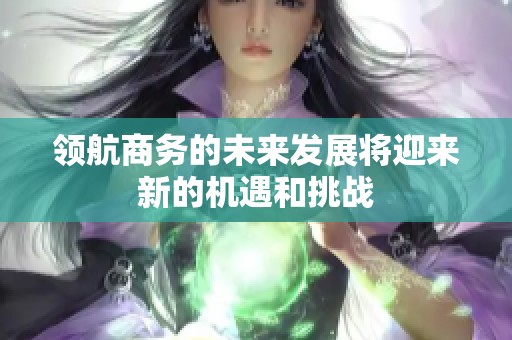 领航商务的未来发展将迎来新的机遇和挑战