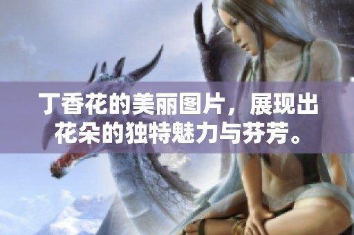 **花的美丽图片，展现出花朵的独特魅力与芬芳。