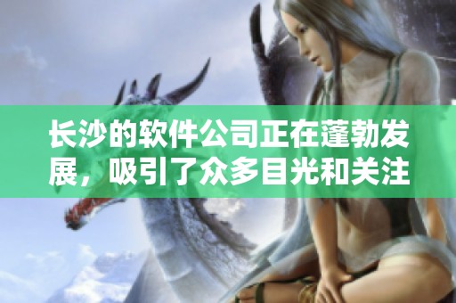 长沙的软件公司正在蓬勃发展，吸引了众多目光和关注