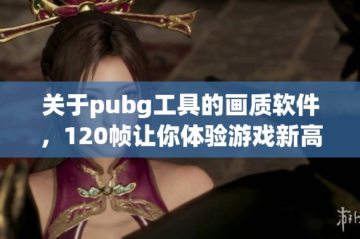关于pubg工具的画质软件，120帧让你体验游戏新高度