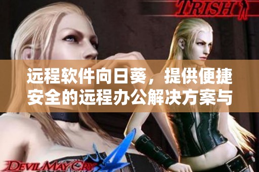 远程软件向日葵，提供便捷安全的远程办公解决方案与服务