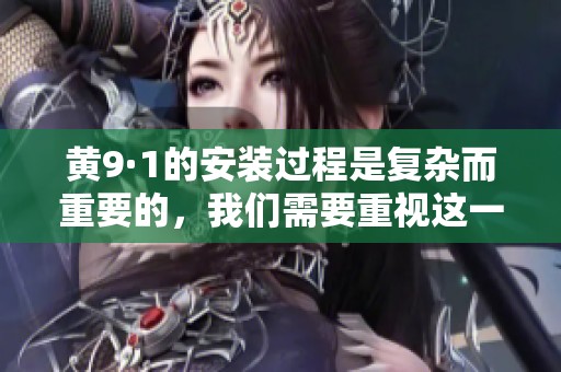 黄9·1的安装过程是复杂而重要的，我们需要重视这一环节的每个细节。