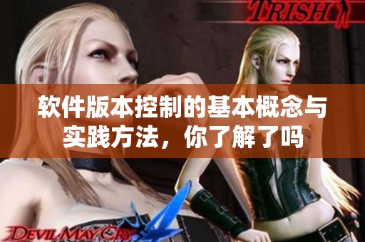 软件版本控制的基本概念与实践方法，你了解了吗