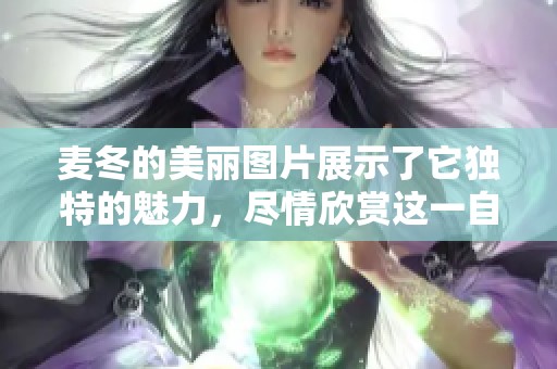 麦冬的美丽图片展示了它独特的魅力，尽情欣赏这一自然馈赠吧！