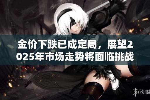 金价下跌已成定局，展望2025年市场走势将面临挑战