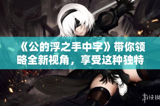 《公的浮之手中字》带你领略全新视角，享受这种独特的观看体验