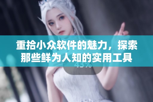 重拾小众软件的魅力，探索那些鲜为人知的实用工具