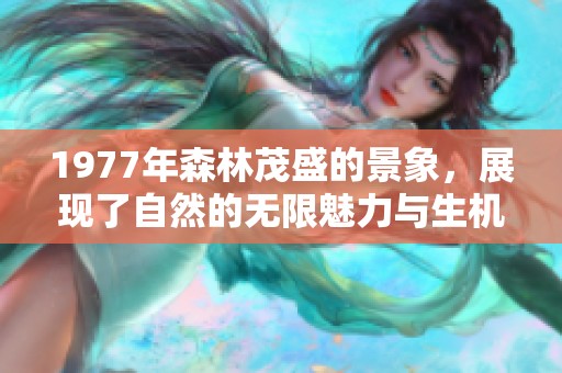 1977年森林茂盛的景象，展现了自然的无限魅力与生机。