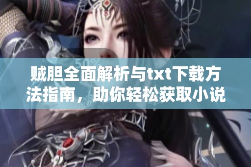 贼胆全面解析与txt下载方法指南，助你轻松获取小说资源