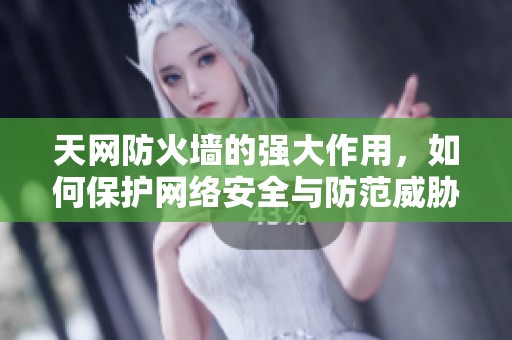 天网防火墙的强大作用，如何保护网络安全与防范威胁