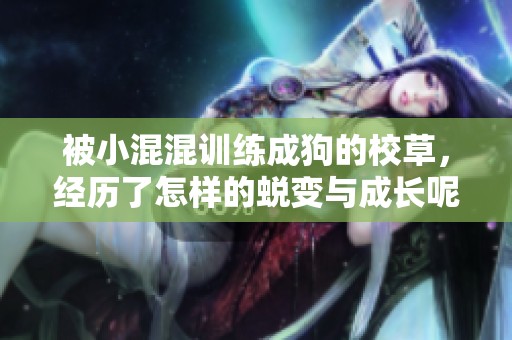 被小混混训练成狗的校草，经历了怎样的蜕变与成长呢