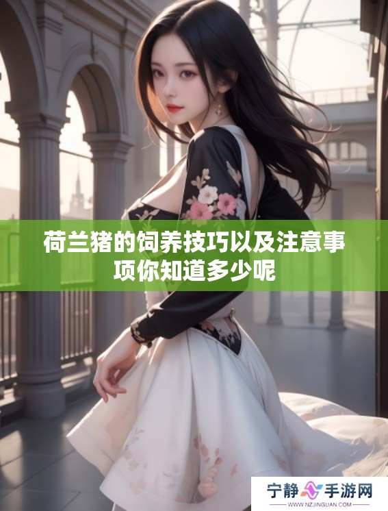 荷兰猪的饲养技巧以及注意事项你知道多少呢