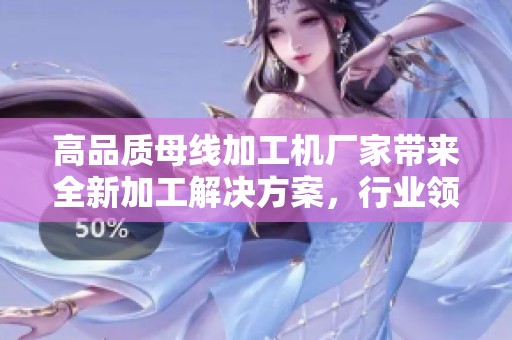 高品质母线加工机厂家带来全新加工解决方案，行业领军者实力铸造。