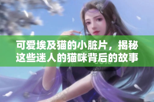 可爱埃及猫的小脏片，揭秘这些迷人的猫咪背后的故事