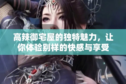 高辣御宅屋的独特魅力，让你体验别样的快感与享受