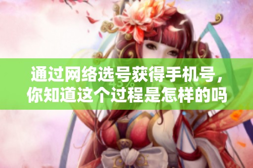 通过网络选号获得手机号，你知道这个过程是怎样的吗