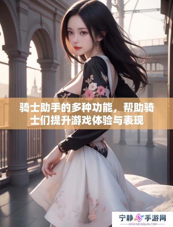 骑士助手的多种功能，帮助骑士们提升游戏体验与表现