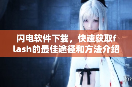 闪电软件下载，快速获取flash的最佳途径和方法介绍