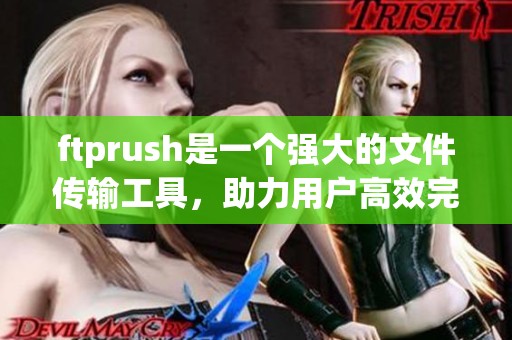 ftprush是一个强大的文件传输工具，助力用户高效完成数据传送工作