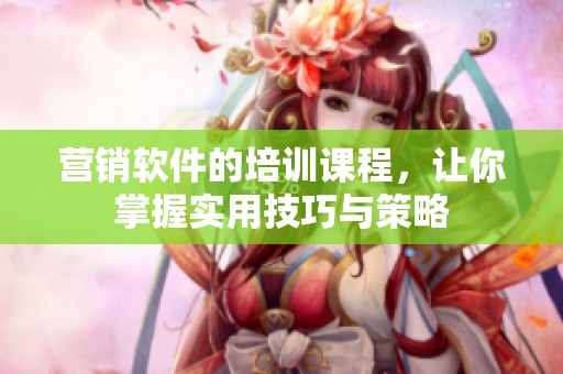 营销软件的培训课程，让你掌握实用技巧与策略