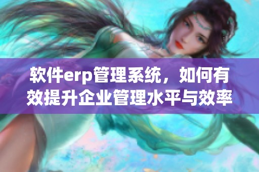 软件erp管理系统，如何有效提升企业管理水平与效率